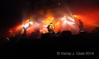nip2011 glasl arcticmonkey1