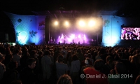 nip2011 glasl arcticmonkey8