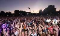 nip2011 glasl guanoapes1