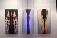 Exhibition 65TKA 1