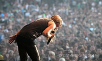 nip2011 glasl guanoapes10