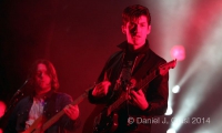 nip2011 glasl arcticmonkey5