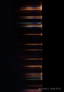 Fireflies 1.3