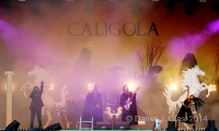 nip2012 caligola 01