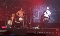 nip2011 glasl guanoapes8